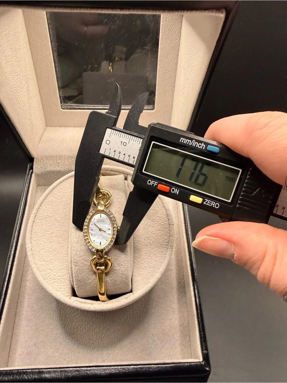 Citizen elegant eco